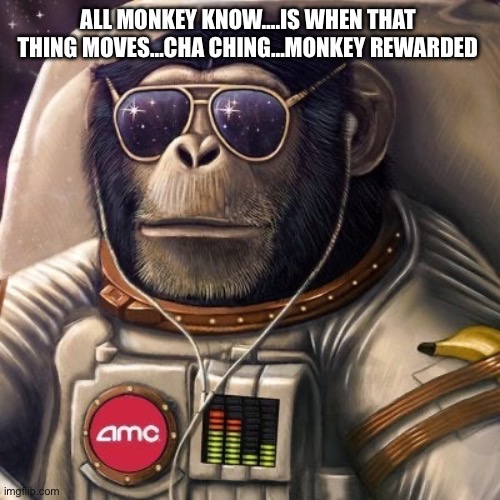 Monkey rewarded | ALL MONKEY KNOW….IS WHEN THAT THING MOVES…CHA CHING…MONKEY REWARDED | image tagged in amc ape,monkey,stonks,amc,apes together strong | made w/ Imgflip meme maker