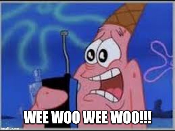 wee woo wee woo | WEE WOO WEE WOO!!! | image tagged in wee woo wee woo | made w/ Imgflip meme maker