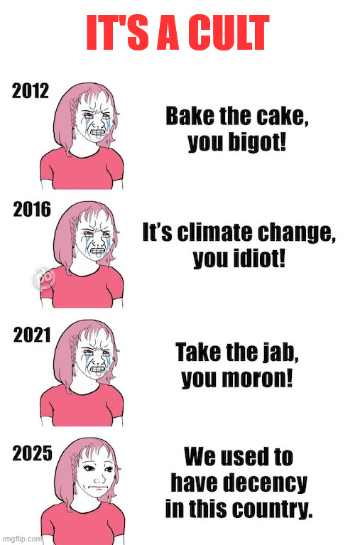 What a cult looks like | IT'S A CULT | image tagged in timeline of msm propaganda,it is a cult | made w/ Imgflip meme maker