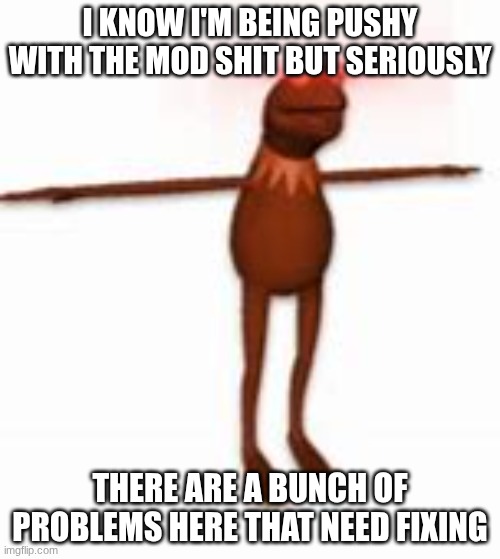 KERMIT | I KNOW I'M BEING PUSHY WITH THE MOD SHIT BUT SERIOUSLY; THERE ARE A BUNCH OF PROBLEMS HERE THAT NEED FIXING | image tagged in kermit | made w/ Imgflip meme maker