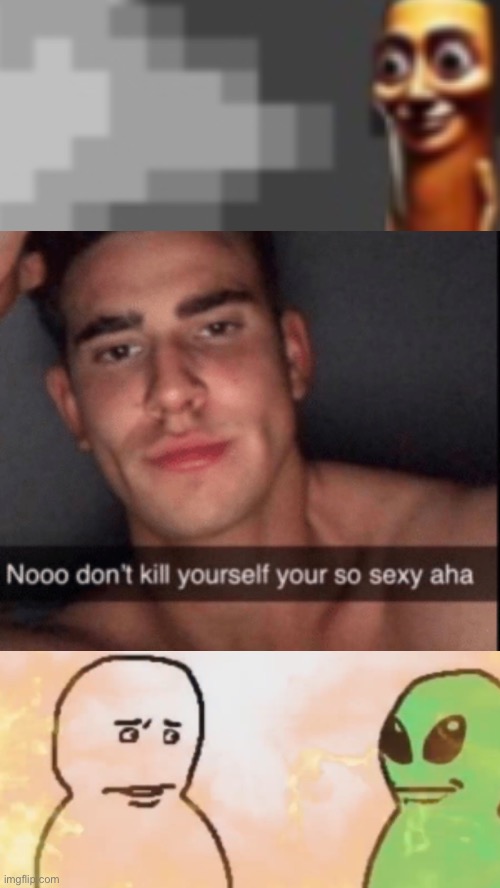 Noo don't kill yourself your too sexy aha | image tagged in noo don't kill yourself your too sexy aha | made w/ Imgflip meme maker