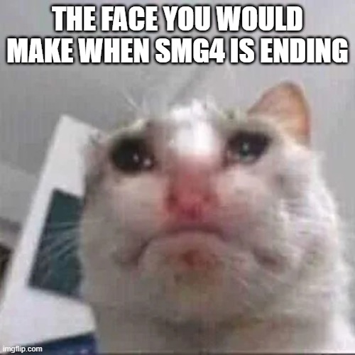 rip SMG4 2011-2025 | THE FACE YOU WOULD MAKE WHEN SMG4 IS ENDING | image tagged in smg4 | made w/ Imgflip meme maker
