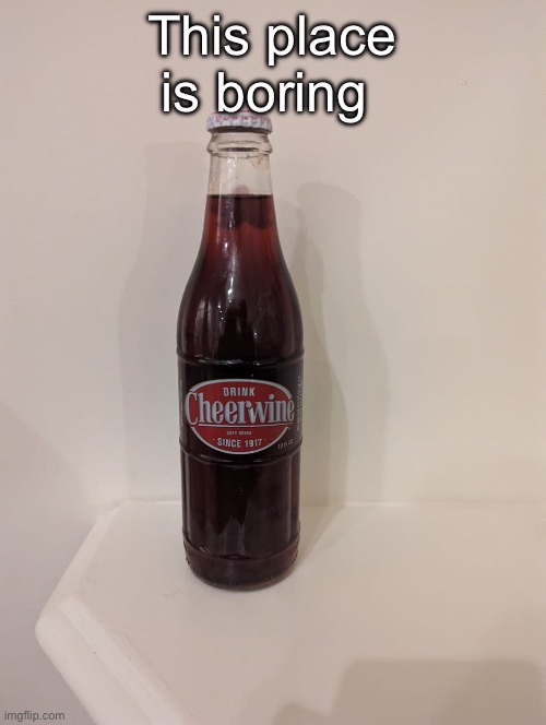 Cheerwine | This place is boring | image tagged in cheerwine | made w/ Imgflip meme maker