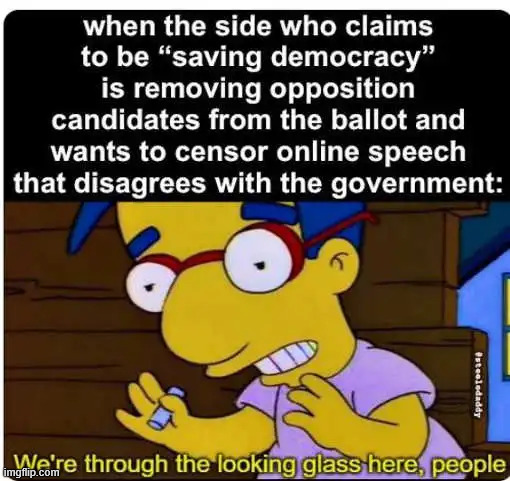 Their "Saving Democracy"  | image tagged in political,reposts | made w/ Imgflip meme maker