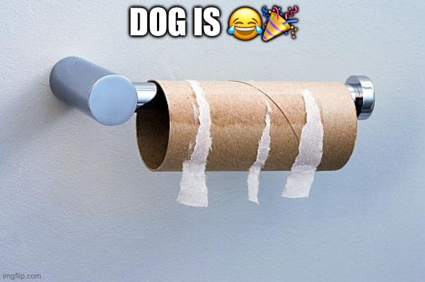 No More Toilet Paper | DOG IS ?? | image tagged in no more toilet paper | made w/ Imgflip meme maker