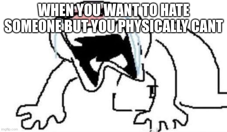 Ugly Crying | WHEN YOU WANT TO HATE SOMEONE BUT YOU PHYSICALLY CANT | image tagged in ugly crying | made w/ Imgflip meme maker