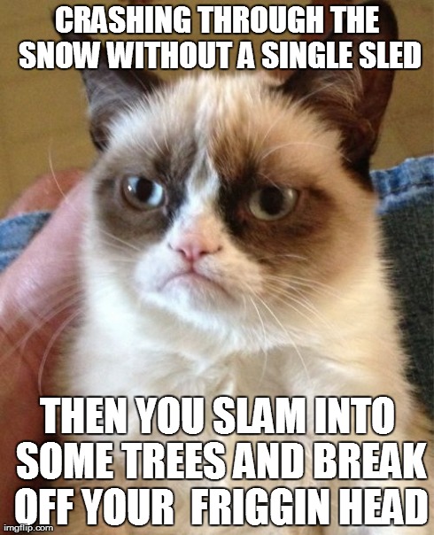 Grumpy Cat Meme | CRASHING THROUGH THE SNOW WITHOUT A SINGLE SLED THEN YOU SLAM INTO SOME TREES AND BREAK OFF YOUR  FRIGGIN HEAD | image tagged in memes,grumpy cat | made w/ Imgflip meme maker