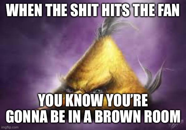 Realistic angry bird | WHEN THE SHIT HITS THE FAN; YOU KNOW YOU’RE GONNA BE IN A BROWN ROOM | image tagged in realistic angry bird | made w/ Imgflip meme maker