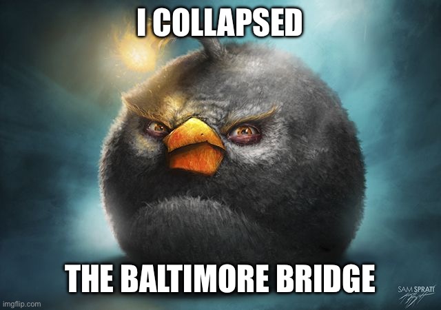 angry birds bomb | I COLLAPSED; THE BALTIMORE BRIDGE | image tagged in angry birds bomb | made w/ Imgflip meme maker