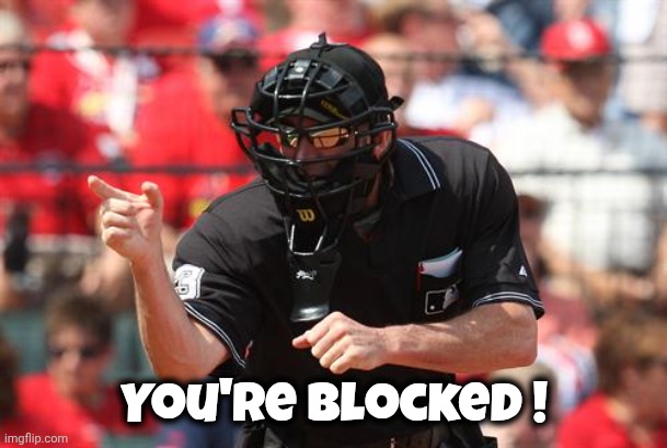 Umpire | You're blocked ! | image tagged in umpire | made w/ Imgflip meme maker