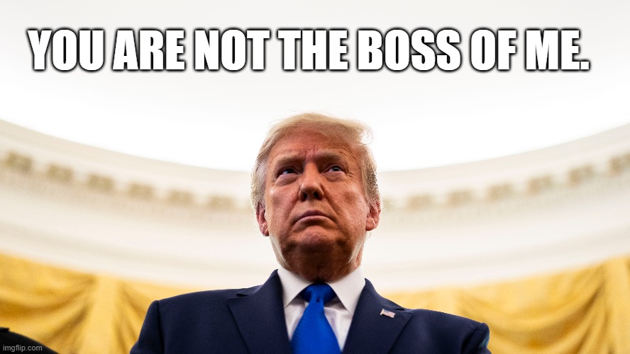 You are not the boss of me. | YOU ARE NOT THE BOSS OF ME. | image tagged in you are not the boss of me | made w/ Imgflip meme maker