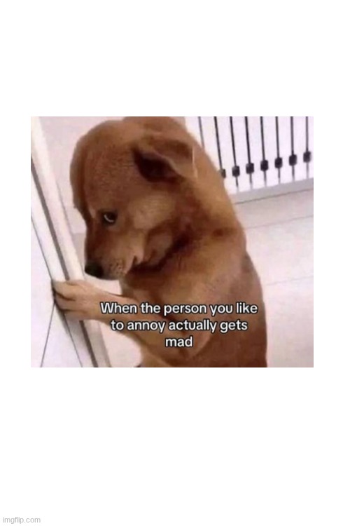 image tagged in fun | made w/ Imgflip meme maker