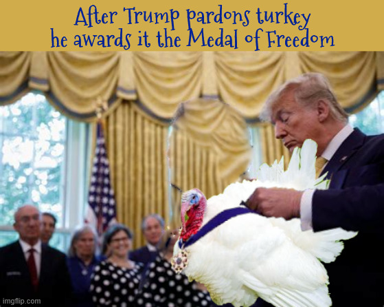 Trump awards Thanksgiving turkey the Medal of Freedumb | After Trump pardons turkey he awards it the Medal of Freedom | image tagged in trump awards thanksgiving turkey the medal of freedumb,trump pardons turkey for no reason,from one turkey to another | made w/ Imgflip meme maker
