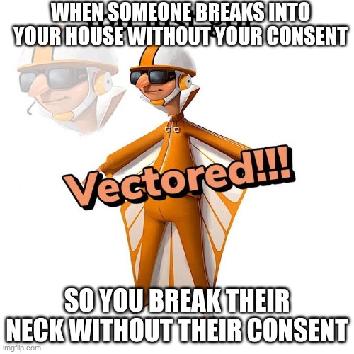 vector | WHEN SOMEONE BREAKS INTO YOUR HOUSE WITHOUT YOUR CONSENT; SO YOU BREAK THEIR NECK WITHOUT THEIR CONSENT | image tagged in you just got vectored | made w/ Imgflip meme maker