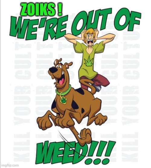 ZOIKS ! | made w/ Imgflip meme maker