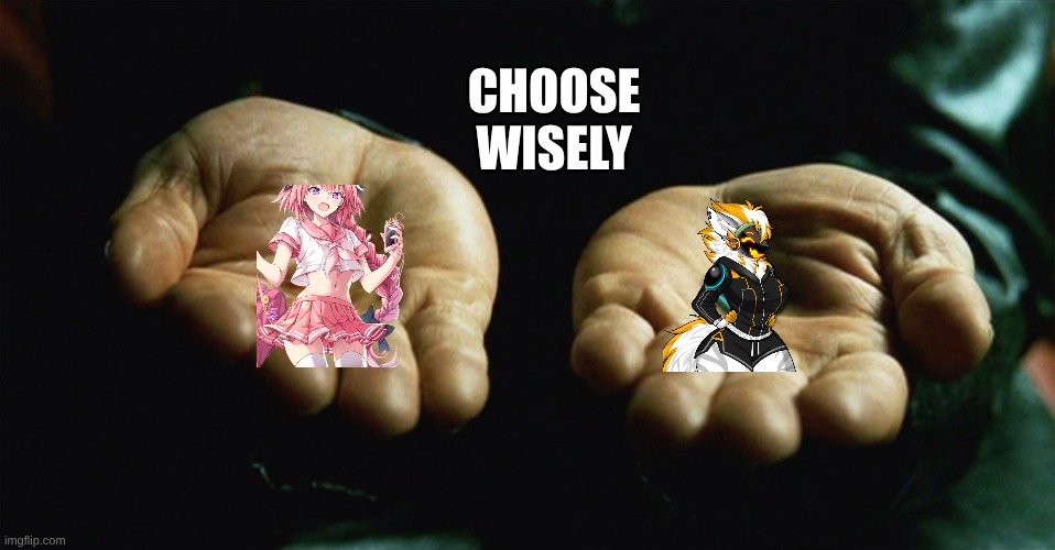 Red pill blue pill | CHOOSE WISELY | image tagged in red pill blue pill | made w/ Imgflip meme maker