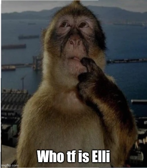 thinking monkey | Who tf is Elli | image tagged in thinking monkey | made w/ Imgflip meme maker
