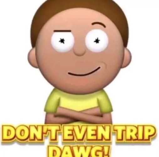 dont even trip dawg! | image tagged in dont even trip dawg | made w/ Imgflip meme maker