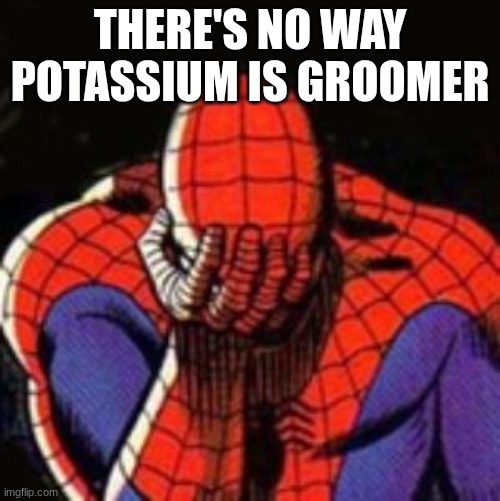 elli is stupid as shit | THERE'S NO WAY POTASSIUM IS GROOMER | image tagged in memes,sad spiderman,spiderman | made w/ Imgflip meme maker