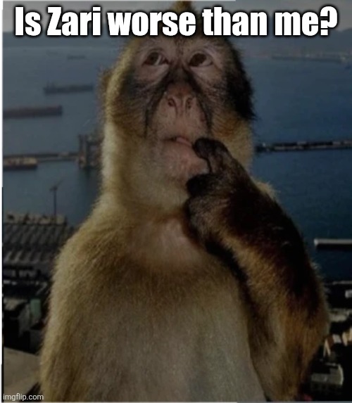 thinking monkey | Is Zari worse than me? | image tagged in thinking monkey | made w/ Imgflip meme maker