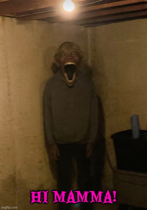 Hi Mamma | Hi mamma! | image tagged in mommy,hi,cursed images,funny,creepy smile,basement dweller | made w/ Imgflip meme maker