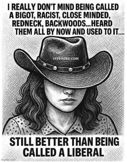 "Liberal" has become a bad word today.... | image tagged in liberalism is a mental disorder,right vs wrong,obvious,good vs evil,choices | made w/ Imgflip meme maker