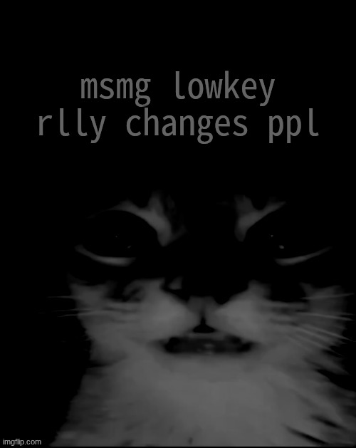 orange cat uncanny stare | msmg lowkey rlly changes ppl | image tagged in orange cat uncanny stare | made w/ Imgflip meme maker