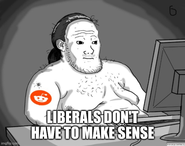 LIBERALS DON'T HAVE TO MAKE SENSE | image tagged in average redditor | made w/ Imgflip meme maker