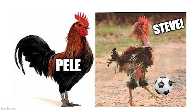 before and after marriage | PELE STEVE! | image tagged in before and after marriage | made w/ Imgflip meme maker
