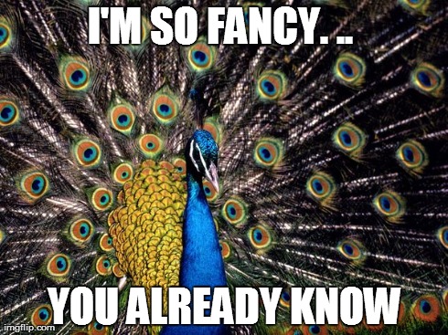 Natural Selection | I'M SO FANCY. ..  YOU ALREADY KNOW | image tagged in science,peacocks | made w/ Imgflip meme maker