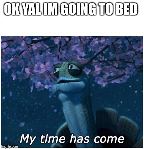 Master Oogway my time has come | OK YAL IM GOING TO BED | image tagged in master oogway my time has come | made w/ Imgflip meme maker
