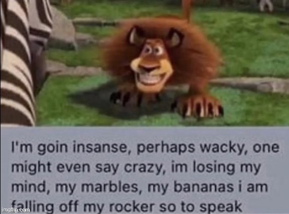 Madagascar insane | image tagged in madagascar insane | made w/ Imgflip meme maker