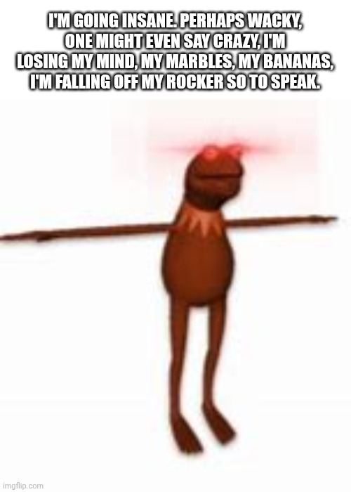KERMIT | I'M GOING INSANE. PERHAPS WACKY, ONE MIGHT EVEN SAY CRAZY, I'M LOSING MY MIND, MY MARBLES, MY BANANAS, I'M FALLING OFF MY ROCKER SO TO SPEAK. | image tagged in kermit | made w/ Imgflip meme maker