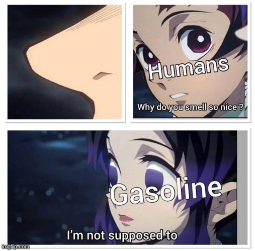 image tagged in demon slayer,tanjiro,shinobu | made w/ Imgflip meme maker