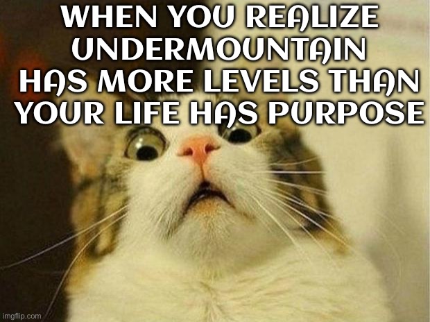 ME WHEN I REALIZE UNDERMOUNTAIN HAS *23 LEVELS* AND A WHOLE MAD WIZARD ECOSYSTEM DOWN THERE | WHEN YOU REALIZE UNDERMOUNTAIN HAS MORE LEVELS THAN YOUR LIFE HAS PURPOSE | image tagged in memes,scared cat,gaming,renaissance,therapy,real life | made w/ Imgflip meme maker