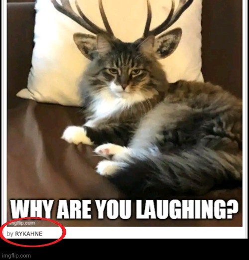 everytime you feel useless remember someone was clipped on the imgflip android app screenshot | image tagged in imgflip | made w/ Imgflip meme maker