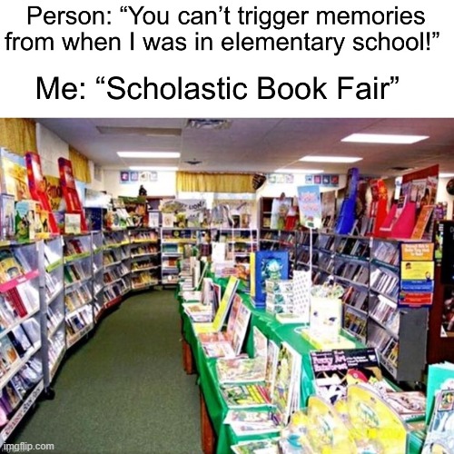 WHO REMEMBERS THEEESSSSEEEE!!!!!! | image tagged in books,so much books,funny,memes,right in the childhood,oh wow are you actually reading these tags | made w/ Imgflip meme maker