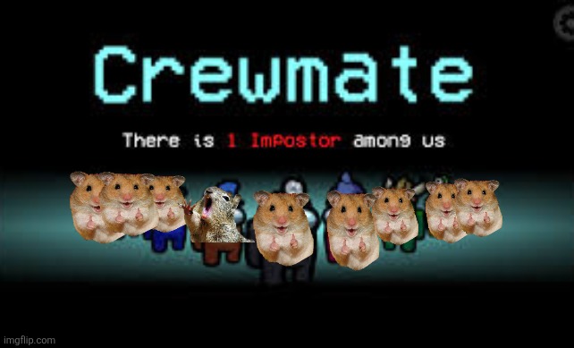 Hamster vs Guinea pig | image tagged in there is 1 imposter among us,hamster,guinea pig,among us,memes | made w/ Imgflip meme maker