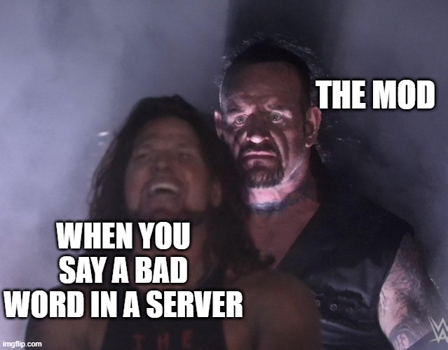 undertaker | THE MOD; WHEN YOU SAY A BAD WORD IN A SERVER | image tagged in undertaker | made w/ Imgflip meme maker