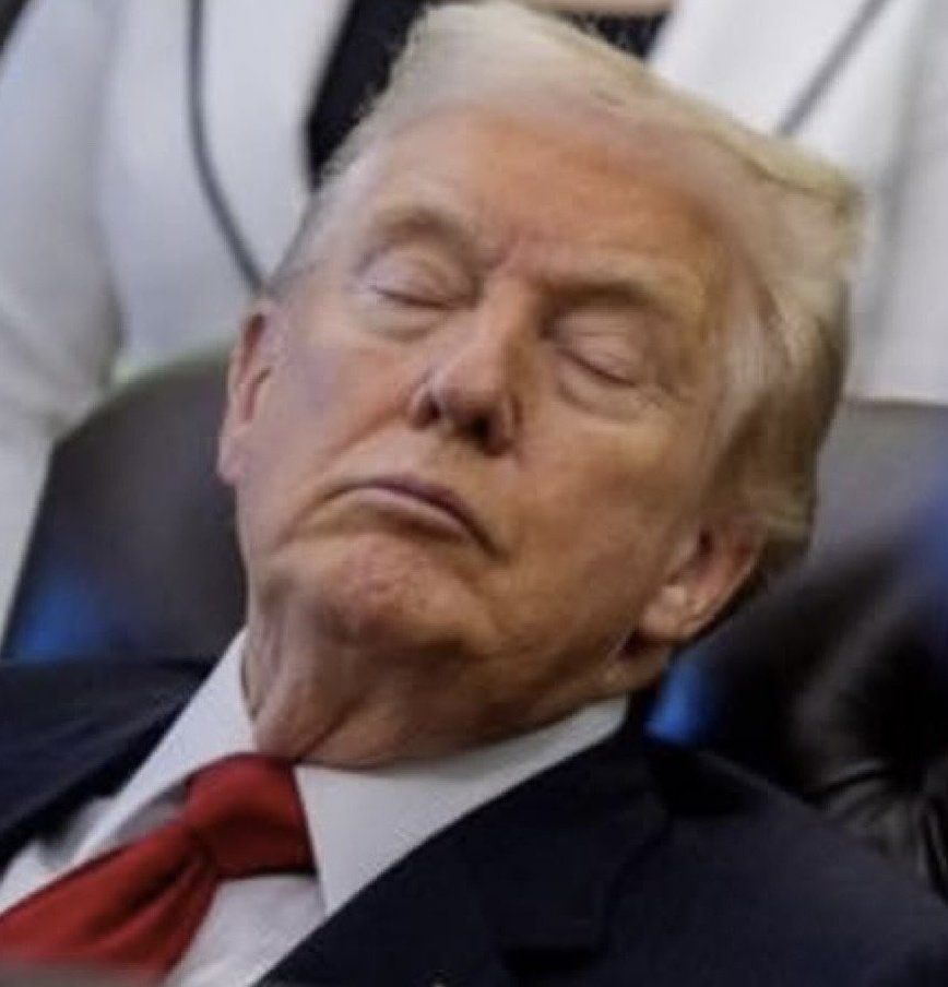 Trump sleeping Blank Meme Template