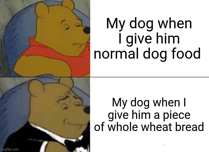 Dogs be like | My dog when I give him normal dog food; My dog when I give him a piece of whole wheat bread | image tagged in memes,tuxedo winnie the pooh | made w/ Imgflip meme maker