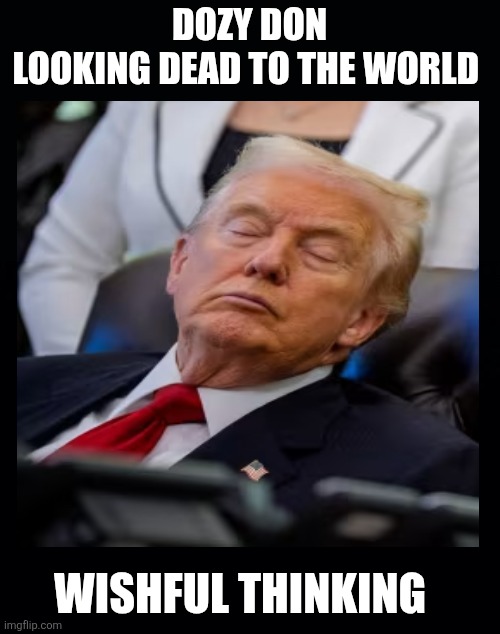 Dream a little dream | DOZY DON
LOOKING DEAD TO THE WORLD; WISHFUL THINKING | image tagged in dozy don,looking kinda dead,maga,lazy,incompetent,sleep forever don | made w/ Imgflip meme maker