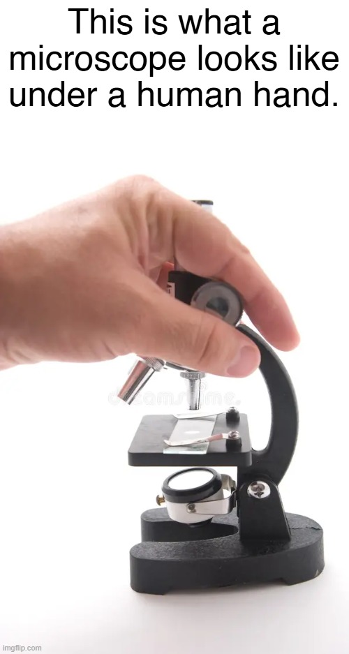 Microscope under a human hand | This is what a microscope looks like under a human hand. | image tagged in memes,meme,funny,jokes,joke | made w/ Imgflip meme maker
