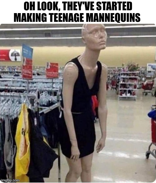 Oh Look,  They've Started Making Teenage Mannequins | OH LOOK, THEY'VE STARTED MAKING TEENAGE MANNEQUINS | image tagged in chrisjoines1 | made w/ Imgflip meme maker
