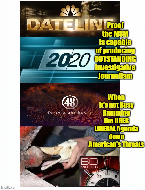 (screw Yorick) "Alas poor 4th Estate, I knew him once" | Proof the MSM is capable of producing OUTSTANDING investigative journalism; When it's not Busy Ramming the UBER LIBERAL Agenda down American's Throats | image tagged in 60 minutes investigative news meme | made w/ Imgflip meme maker