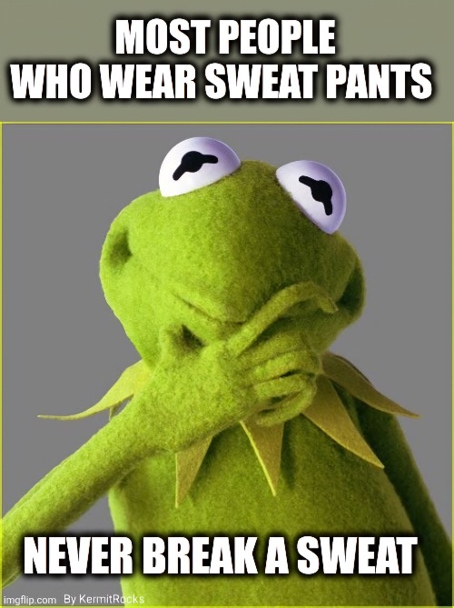 KermitRocks | image tagged in memes | made w/ Imgflip meme maker