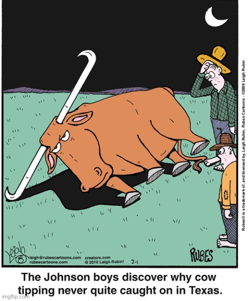 Rubes | image tagged in comics,rubes,steer,cow tipping,texas,unpopular | made w/ Imgflip meme maker