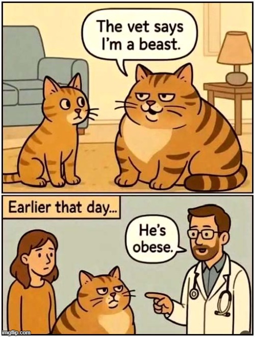 Only Hearing What You Want To Hear ! | image tagged in cats,misheard,beast,obese | made w/ Imgflip meme maker