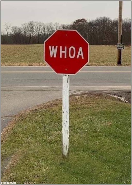 Is This An Amish Stop Sign ? | image tagged in stop sign,amish,whoa | made w/ Imgflip meme maker