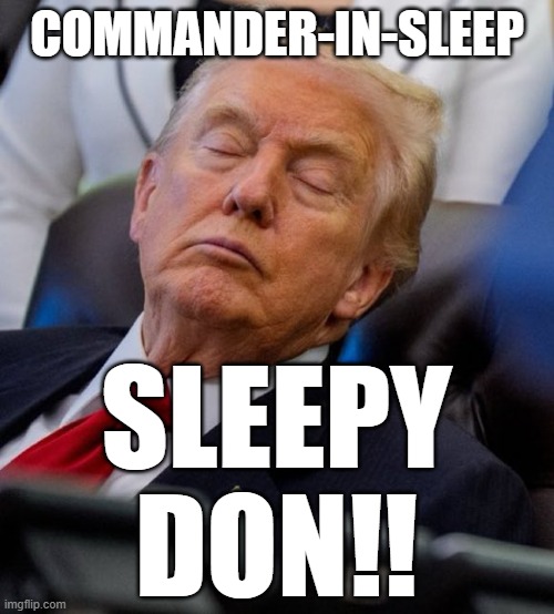 F Trump | COMMANDER-IN-SLEEP; SLEEPY DON!! | image tagged in fucktrump,sleepy donald duck in bed,maga | made w/ Imgflip meme maker